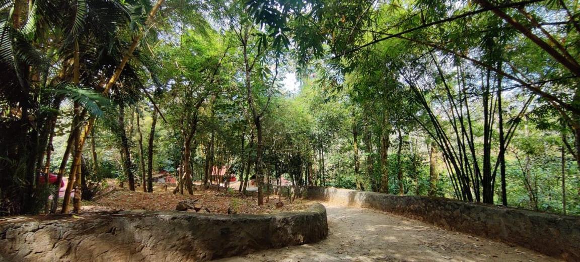 Clay Resort By Bestinn Leisure - Wayanad Padinjarathara Exteriör bild